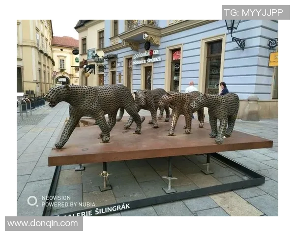 埃及与捷克足球明星的传奇故事与成就揭秘